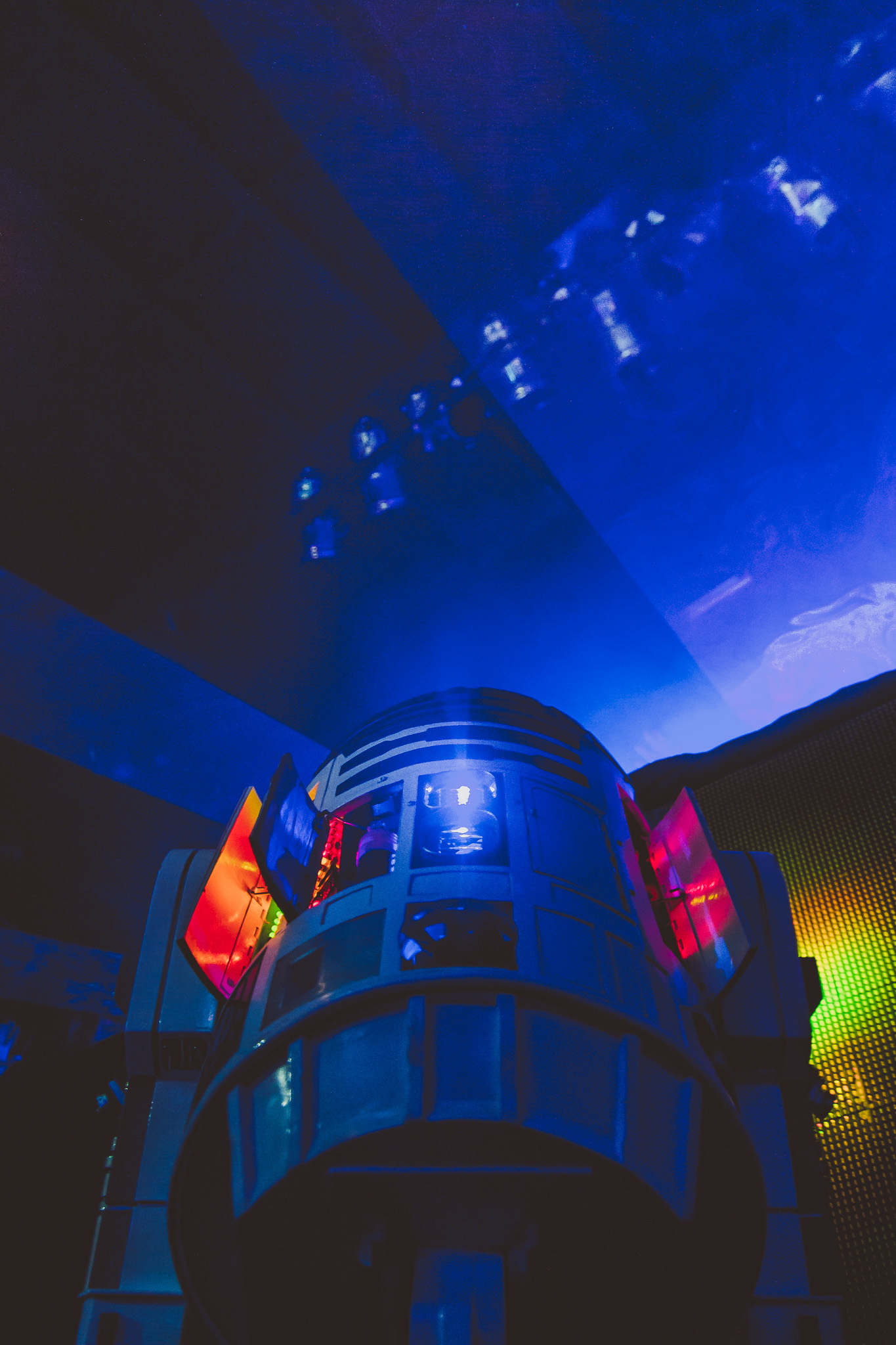 20140809 20140809 IMG 6037