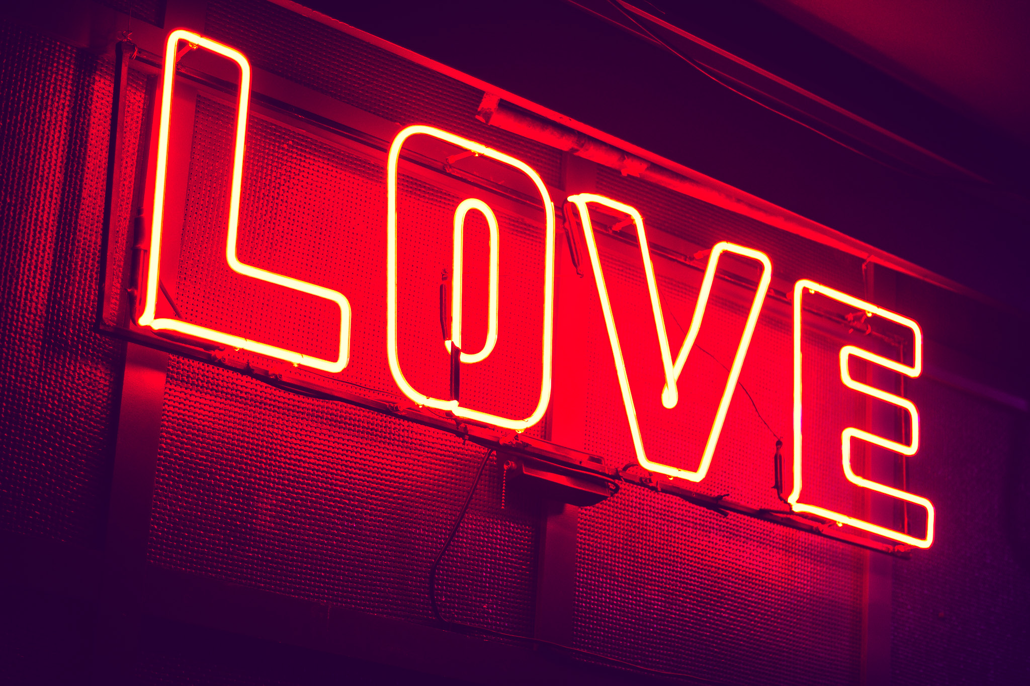 20141115 20141115 IMG 7204