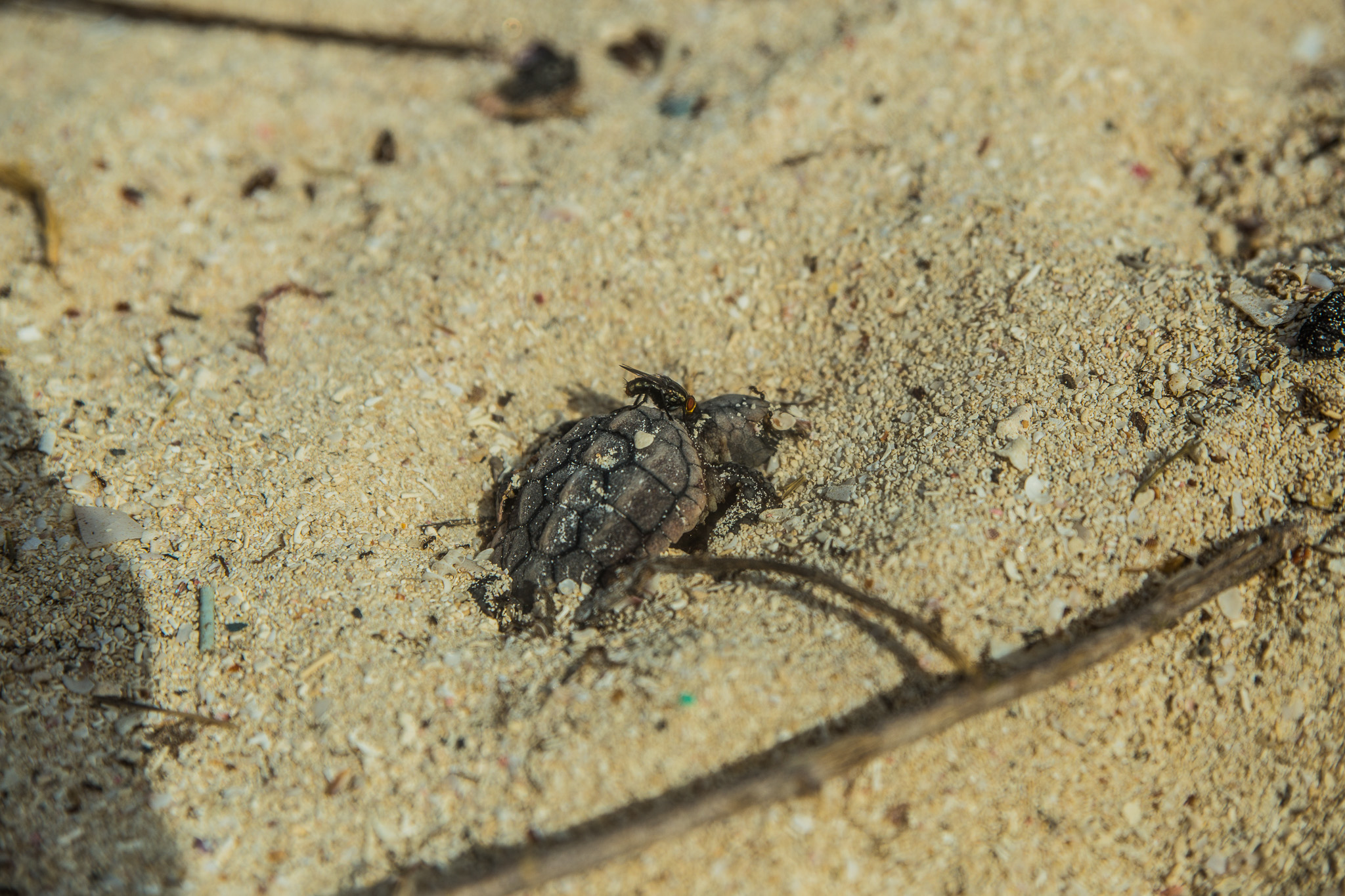 #Foto: #ManuPadilla >> http://www.fb.com/manupadillaoficial