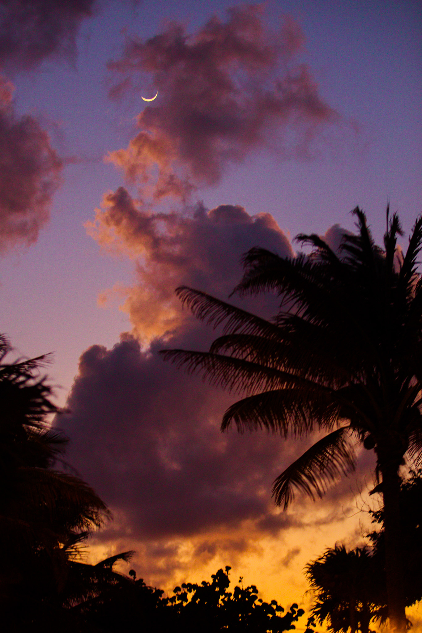 #Foto: #ManuPadilla >> http://www.fb.com/manupadillaoficial