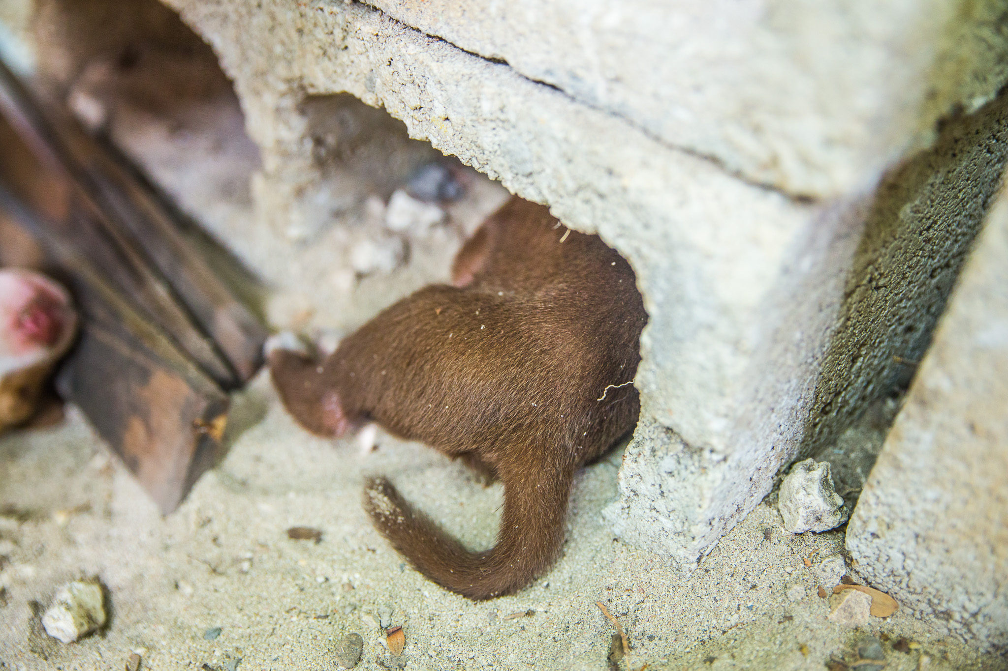 #Foto: #ManuPadilla >> http://www.fb.com/manupadillaoficial