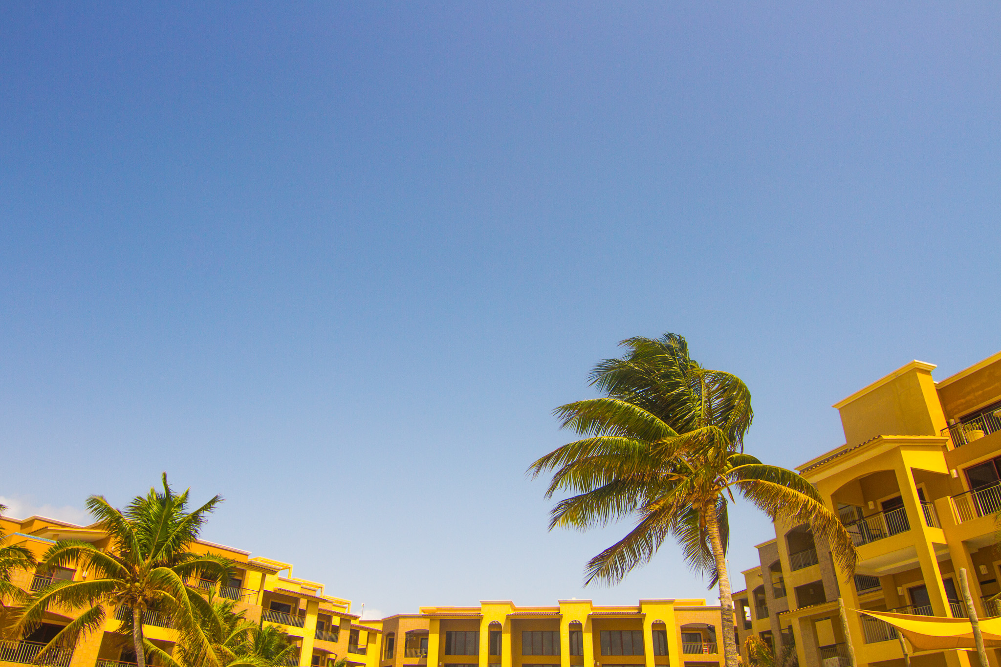 #Foto: #ManuPadilla >> http://www.fb.com/manupadillaoficial