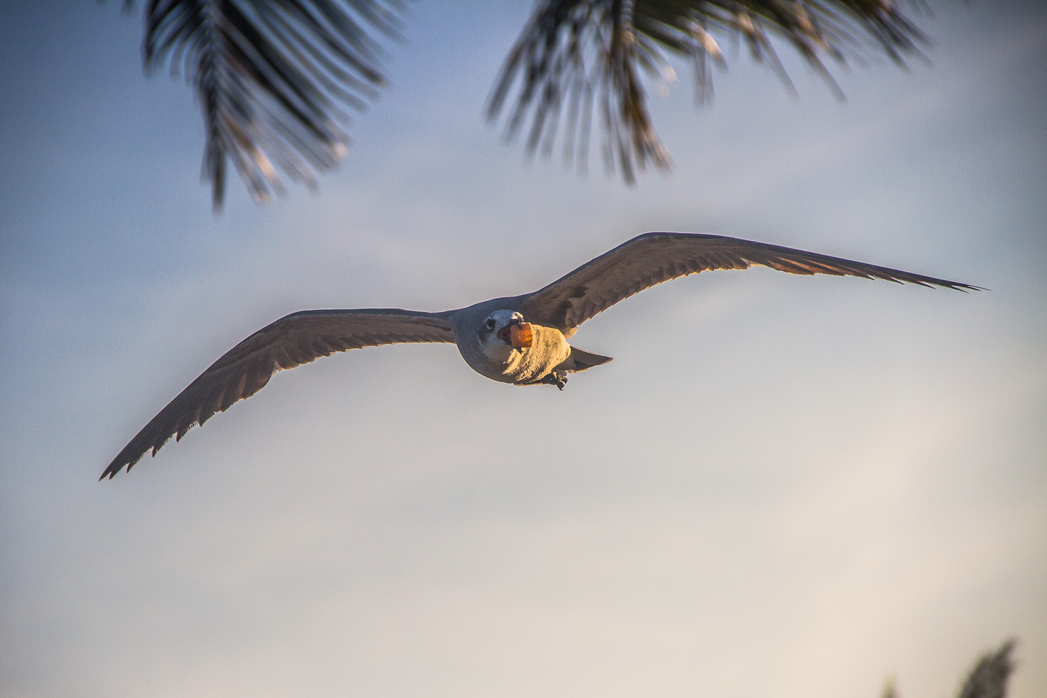 #Foto: #ManuPadilla >> http://www.fb.com/manupadillaoficial