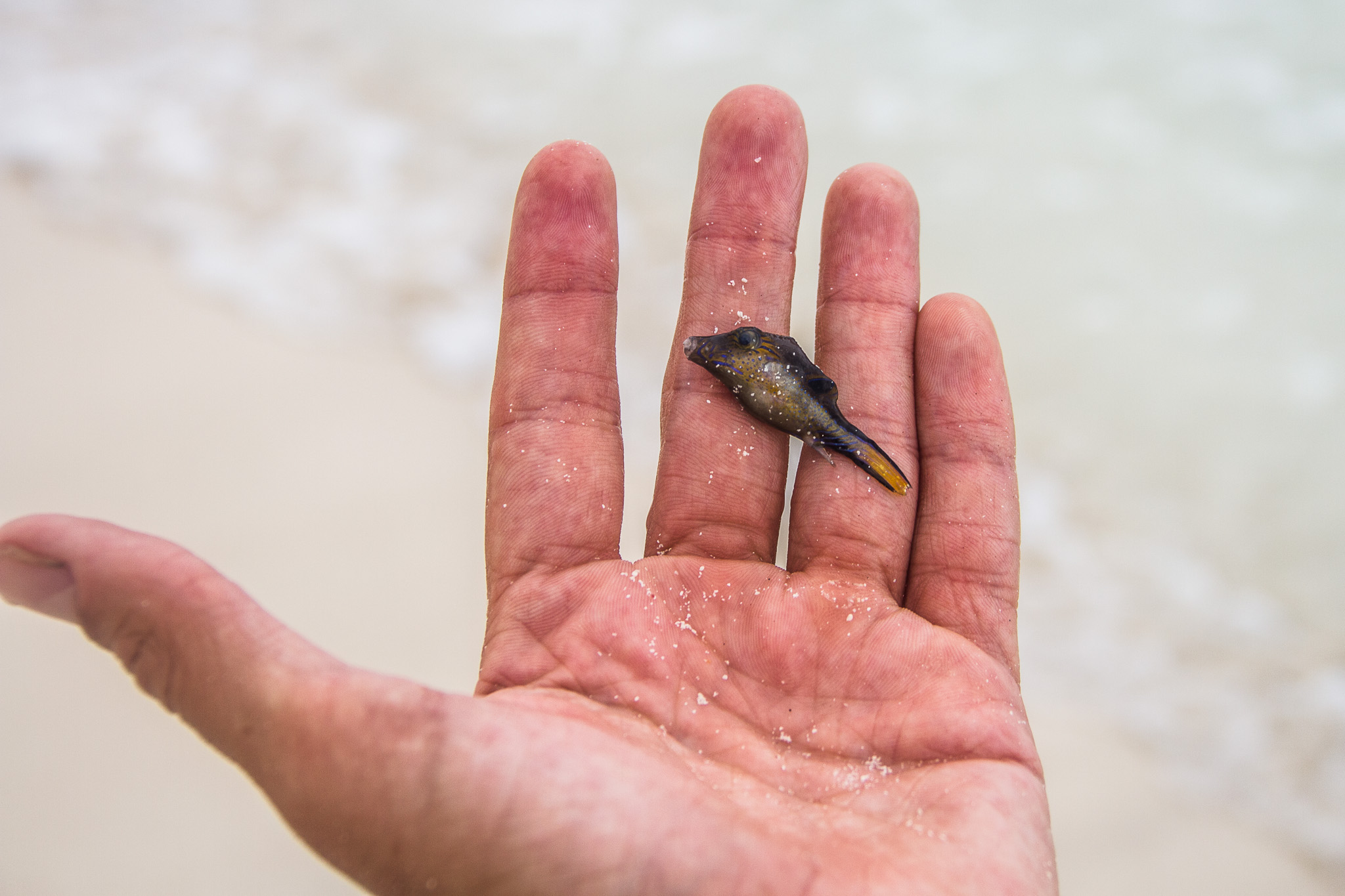 #Foto: #ManuPadilla >> http://www.fb.com/manupadillaoficial