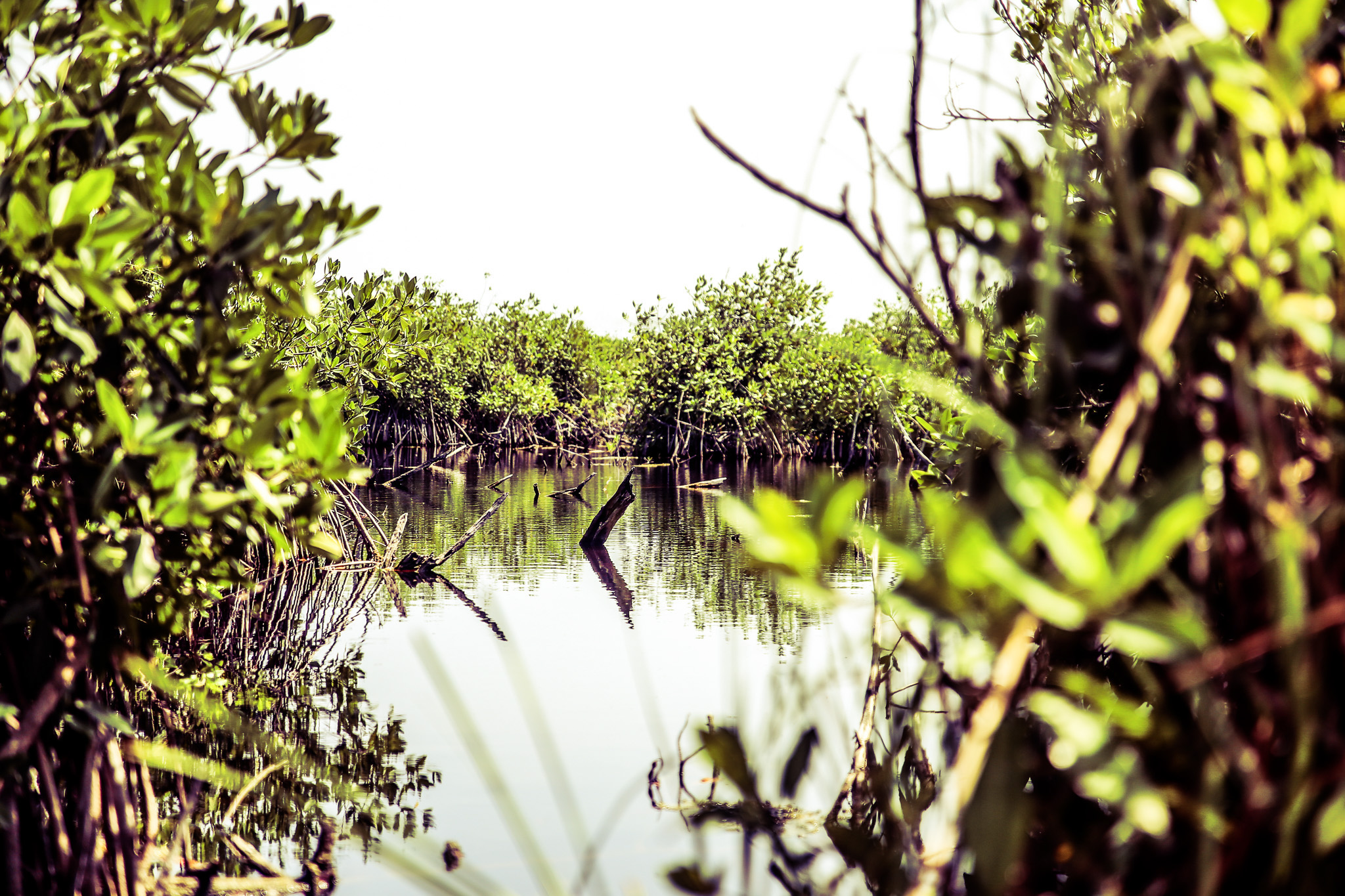 #Foto: #ManuPadilla >> http://www.fb.com/manupadillaoficial