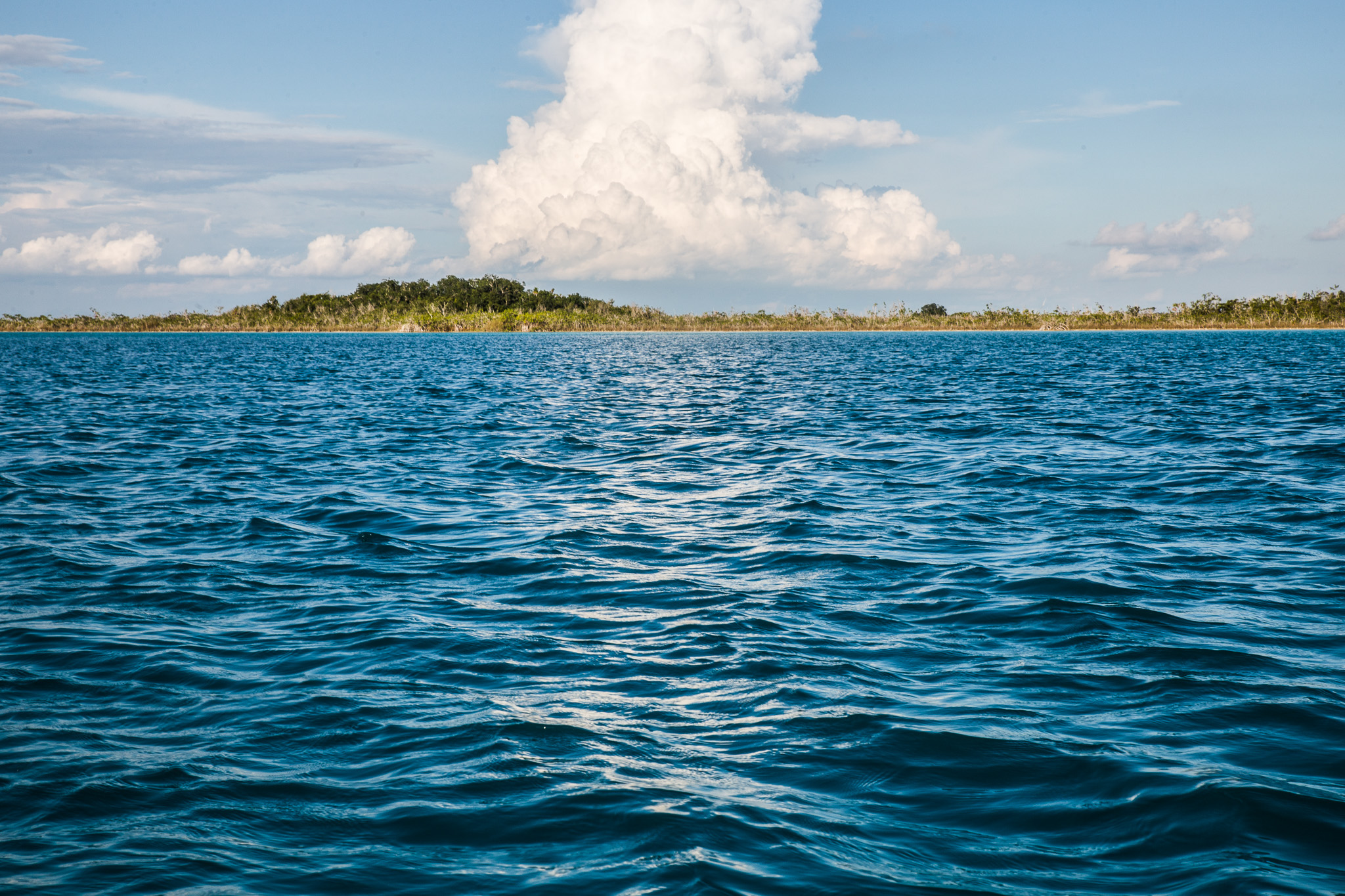 #Foto: #ManuPadilla >> http://www.fb.com/manupadillaoficial