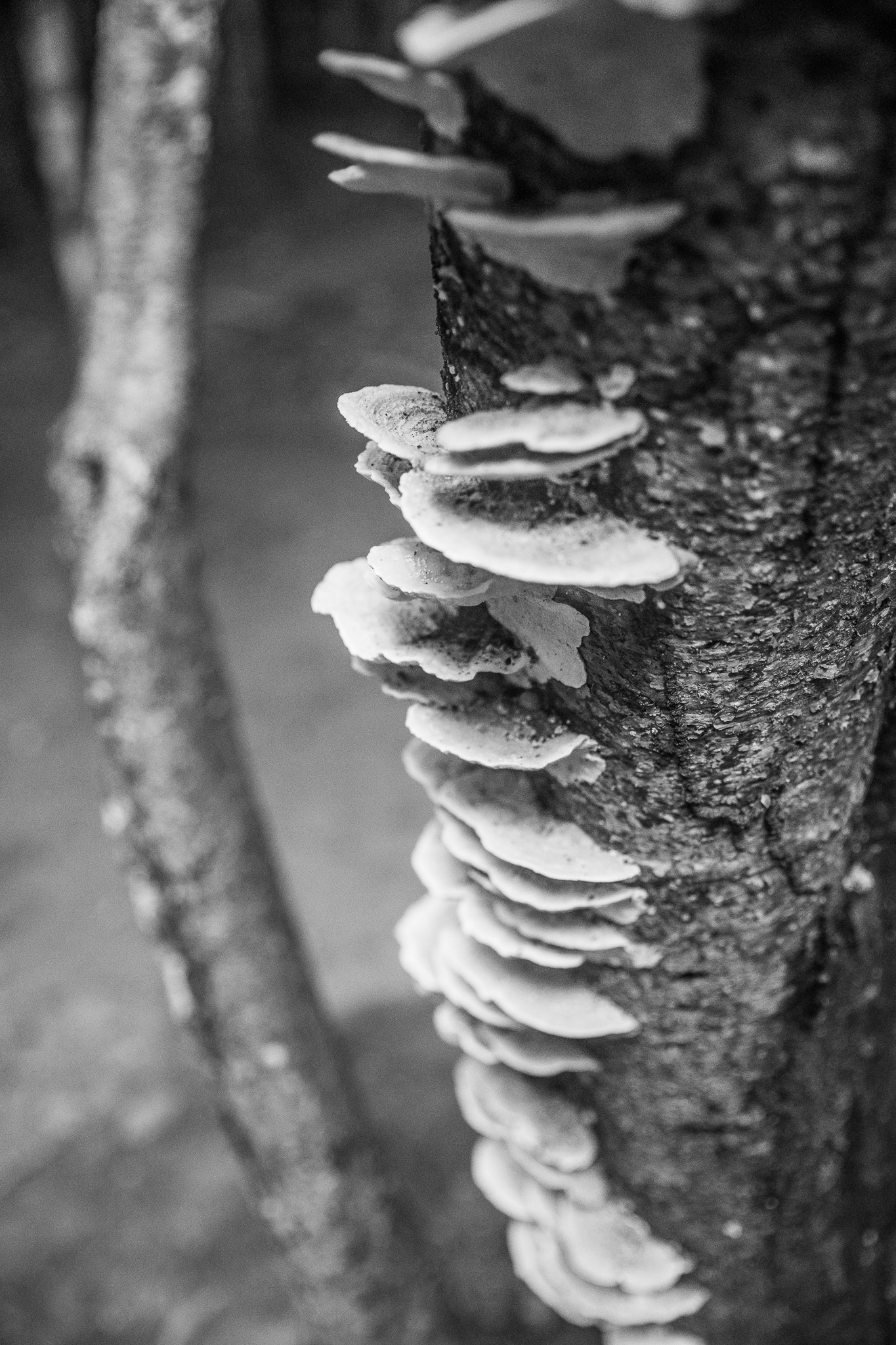 #Foto: #ManuPadilla >> http://www.fb.com/manupadillaoficial