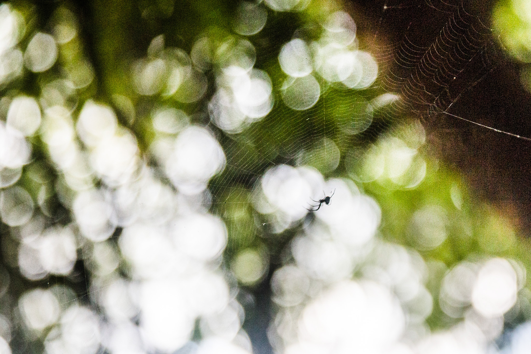 #Foto: #ManuPadilla >> http://www.fb.com/manupadillaoficial