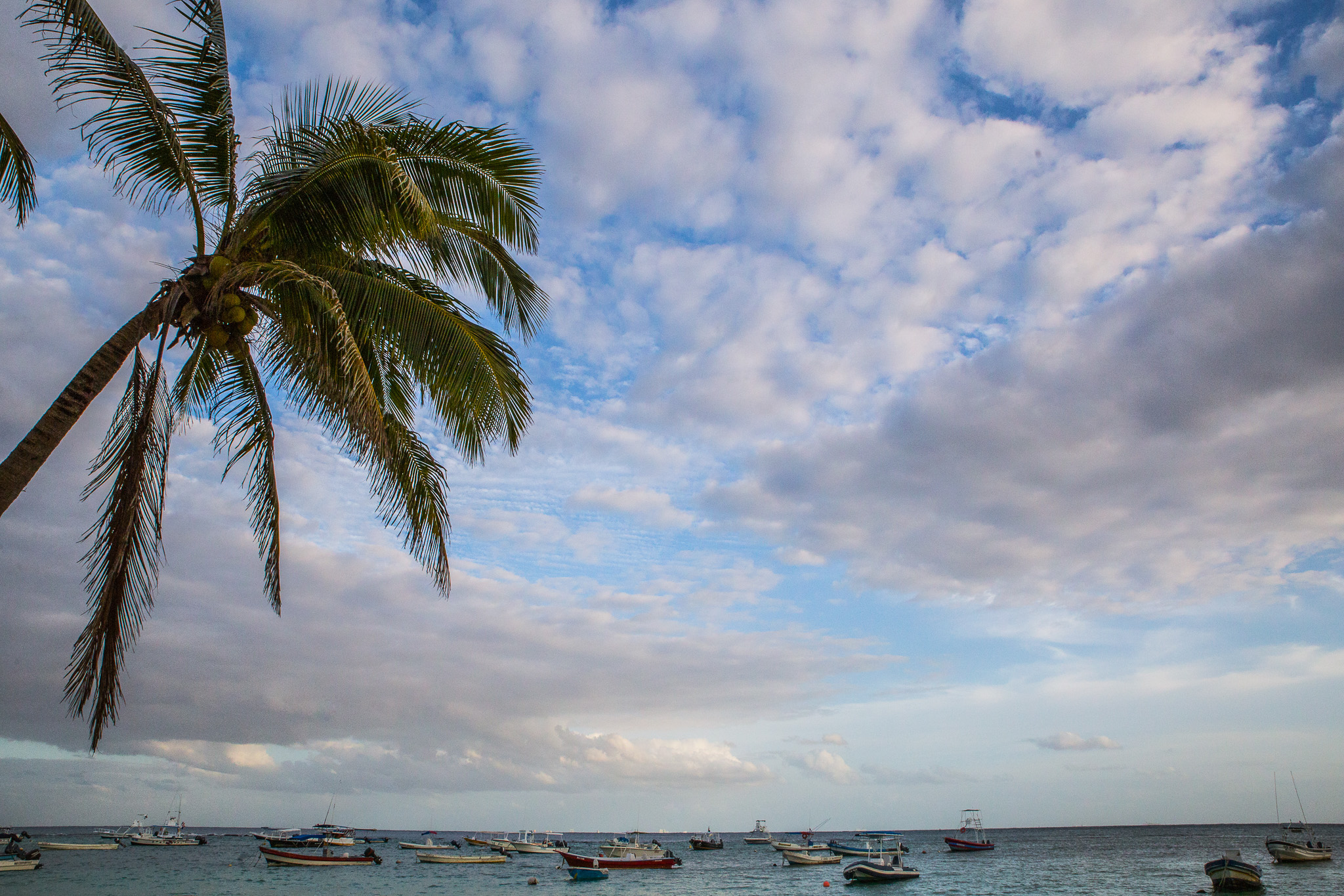 #Foto: #ManuPadilla >> http://www.fb.com/manupadillaoficial