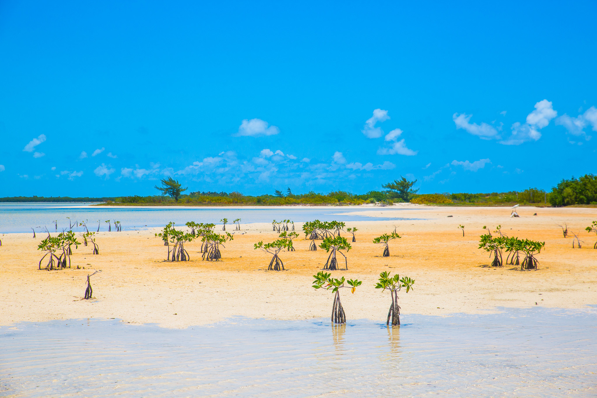 #Foto: #ManuPadilla >> http://www.fb.com/manupadillaoficial