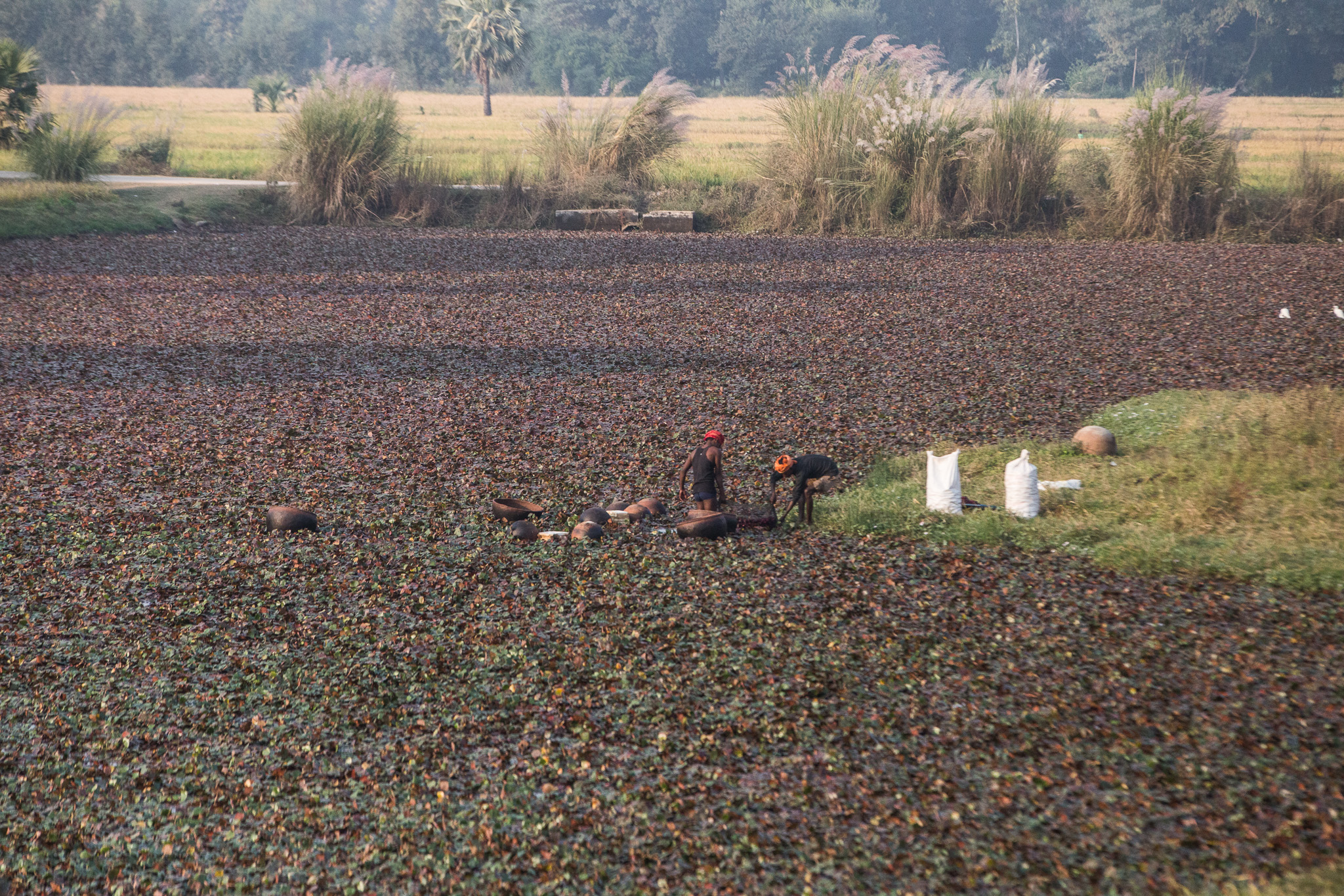 #Foto: #ManuPadilla >> http://www.fb.com/manupadillaoficial