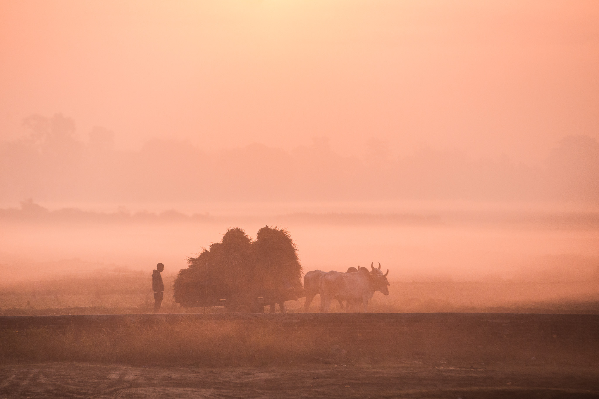 Foggy morning on Nepal