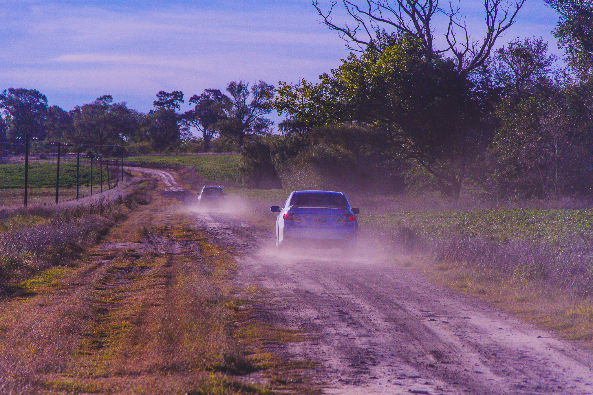 20140322 Casamiento 1125