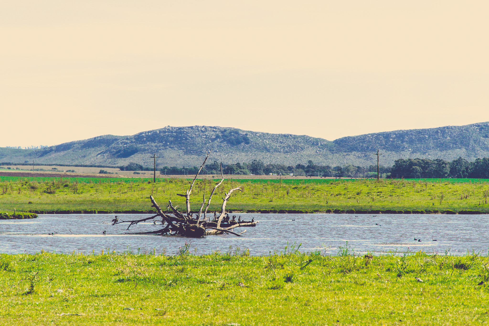 20140322 Casamiento 0057